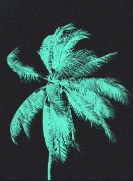 Nucifera Labs logo
